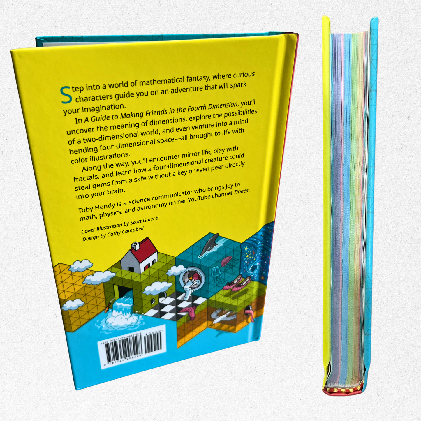 A Guide to Making Friends in the Fourth Dimension - Hardcover