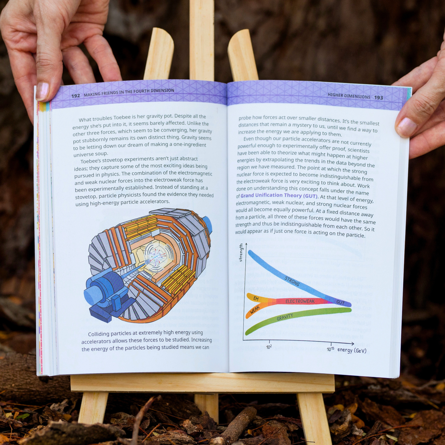 A Guide to Making Friends in the Fourth Dimension - Hardcover